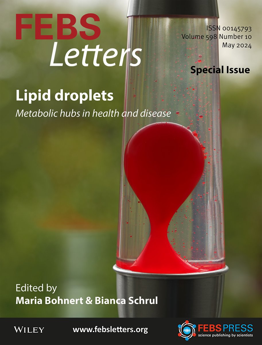 🫧 Special Issue! #LipidDroplets in Health and Disease 

👩‍🔬 Guest editors: @MariaBohnert & @BiancaSchrul 

➡️ bit.ly/44SET8Z

16 reviews highlight new discoveries in the lipid droplet lifecycle and insights into diseases related to lipid storage.

@wwu_muenster @Saar_Uni
