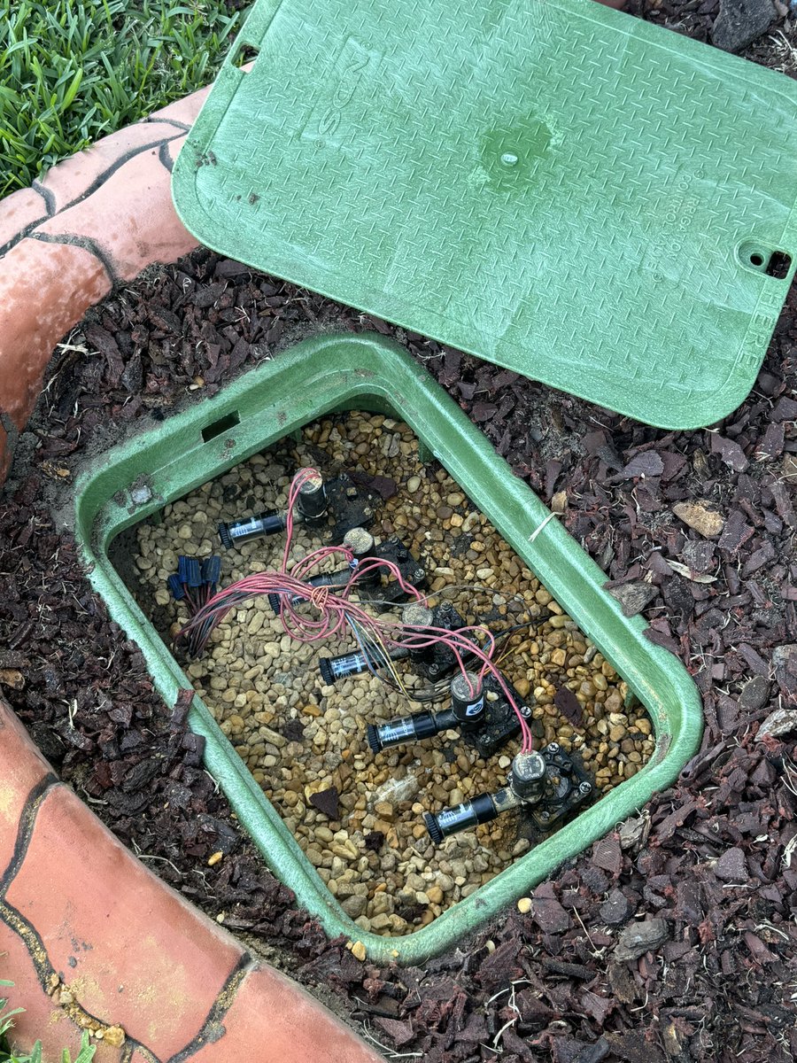 Michael Derewenko tweet media