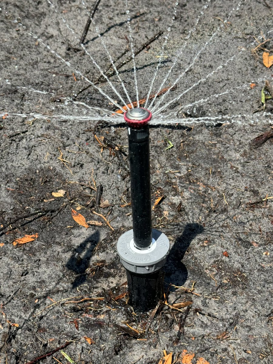 Michael Derewenko tweet media