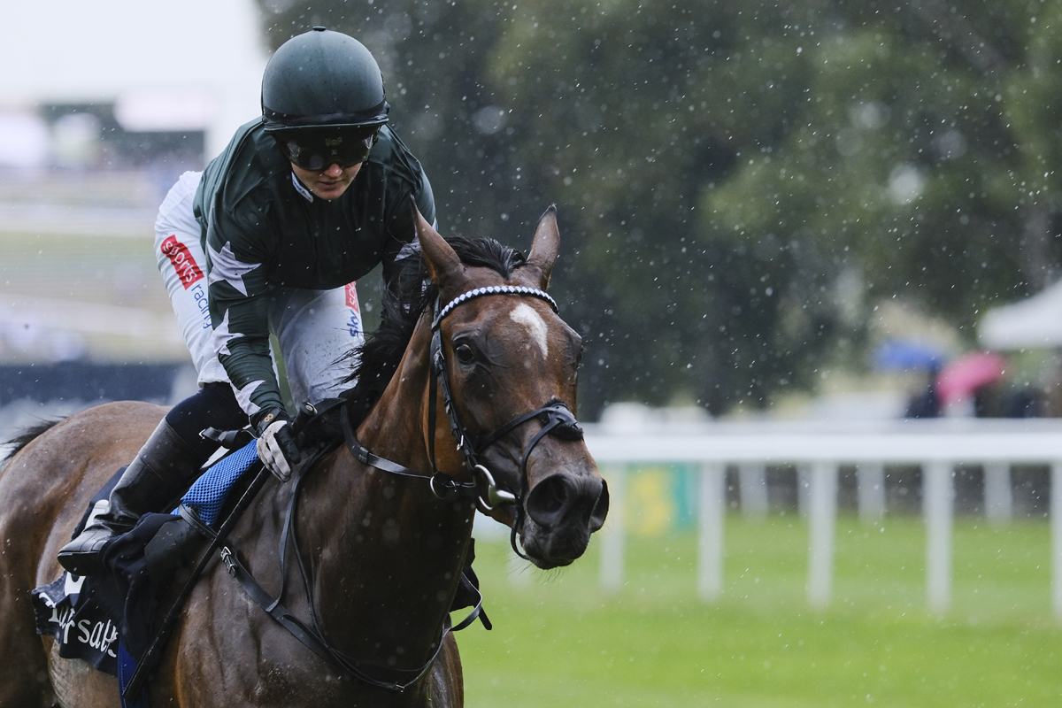 A rainy day turned golden 🏆 6 weeks to go until we find out who the next heroine(s) will be in the @Tattersalls1766 Falmouth Stakes at The July Festival 👏