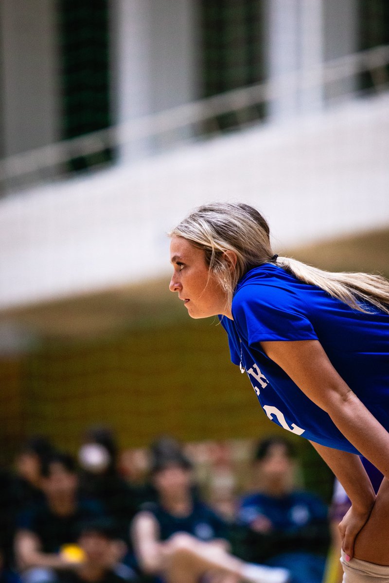 Kentucky Volleyball tweet media