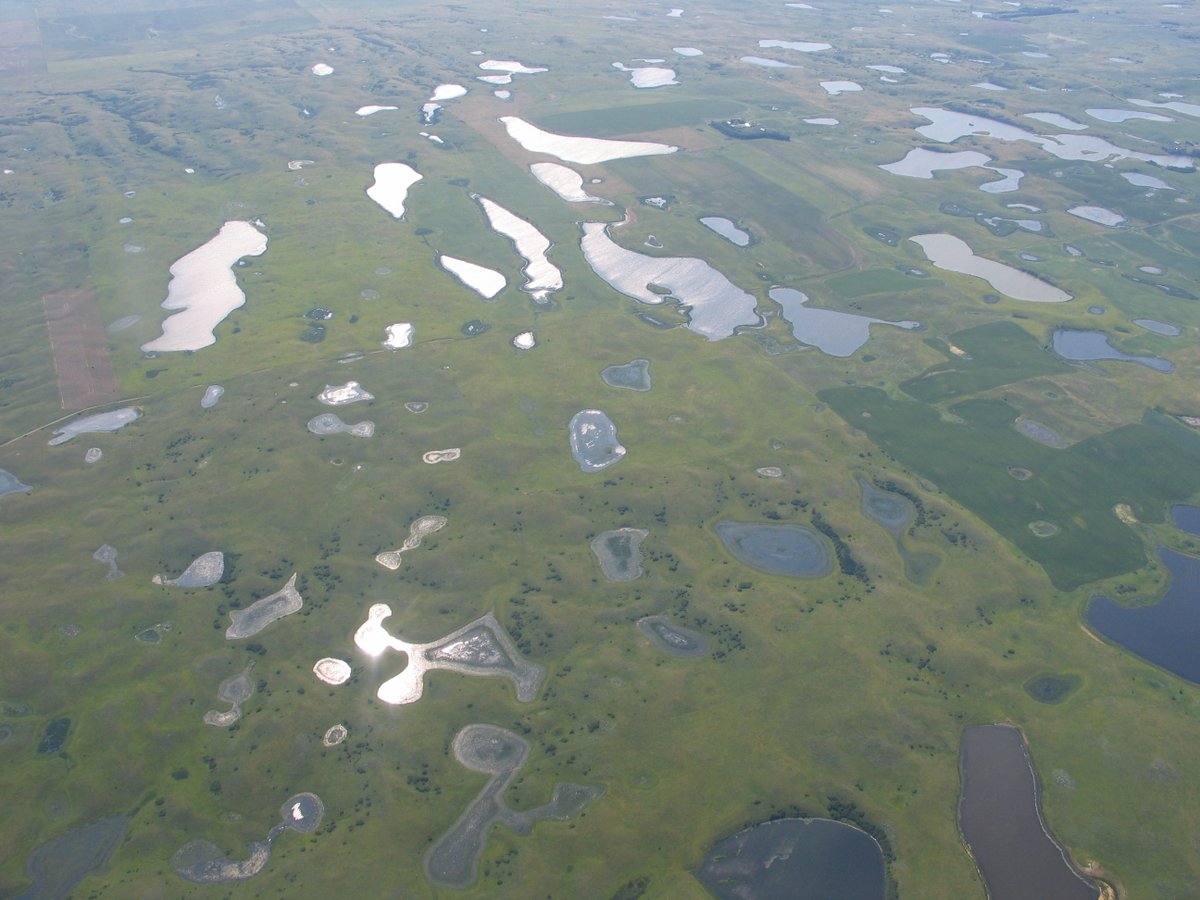 USGS tweet picture