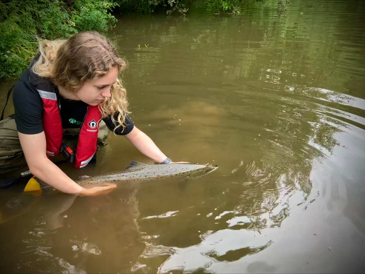 🐟 The first wild Atlantic Salmon has returned to our rivers here in the South West. This is an amazing migration from sea to our rivers for these beautiful creatures and a great indicator of the health of freshwater and marine ecosystems. Happy #WorldFishMigrationDay