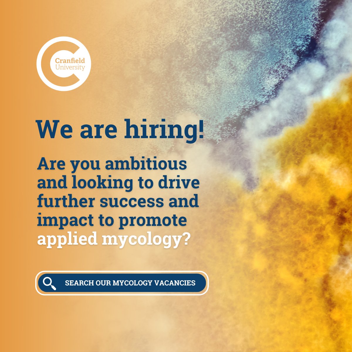 Work with us!!! 5 #ACADEMIC POSITIONS OPEN 👨‍🔬 👩‍🔬 🔬 

Are you working in a expansion area listed here? 
-mycomaterials 
-bioenergy 
-manufacturing  
-environment and green construction  
-mycoremediation

Join the Magan Centre of Applied Mycology 
lnkd.in/ewiW-_vp
#job