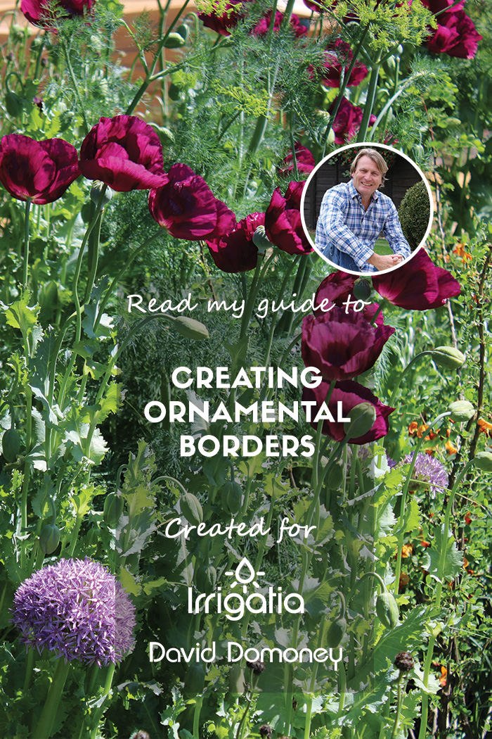 #ad With just a few clever planting choices and a simple structure to work with, designing your garden border can be a creative and enjoyable activity. Read my guest @Irrigatia blog 👉 bit.ly/4breIbQ #paidpartnership