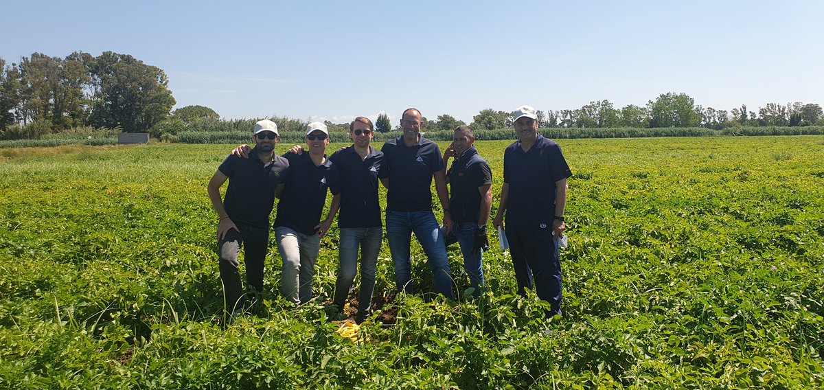 Olaf van Campen tweet media