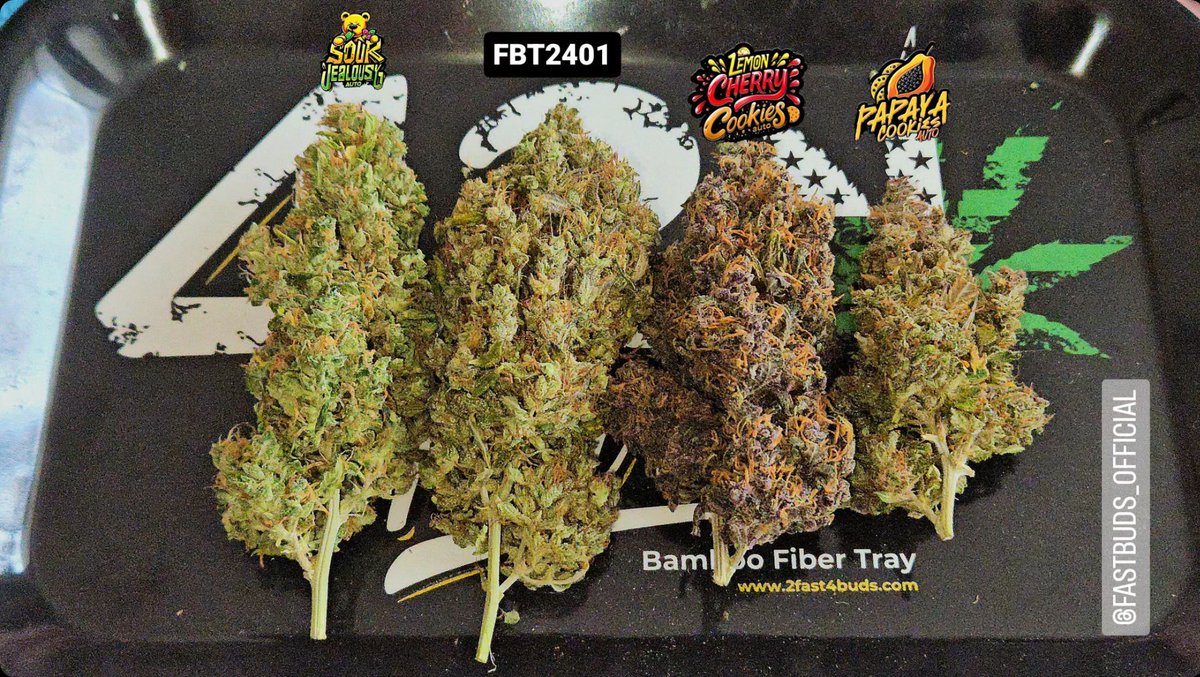 🚨Friday's giveaway!🚨 We are giving away: + 10 seeds of the award-winning Fast_Buds genetics that are available on our official website + 10 tags + Eco-friendly 420 Jar + Grower Gloves + 3 pins 🚨Rules~ • Follow fast_buds • Tag 3 friends • Like + Retweet We will announce