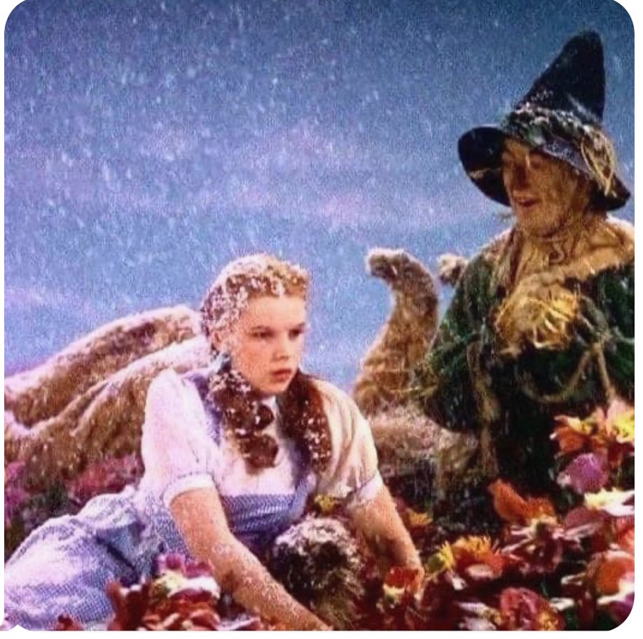 Fun facts about the wizard of oz( well maybe not so fun for the actors. The snow in the movie was pure asbestos and the straw man was stuffed with asbestos to make sure he doesn’t catch on fire. The wicked witch had green copper make up that was highly toxic. The tin man had