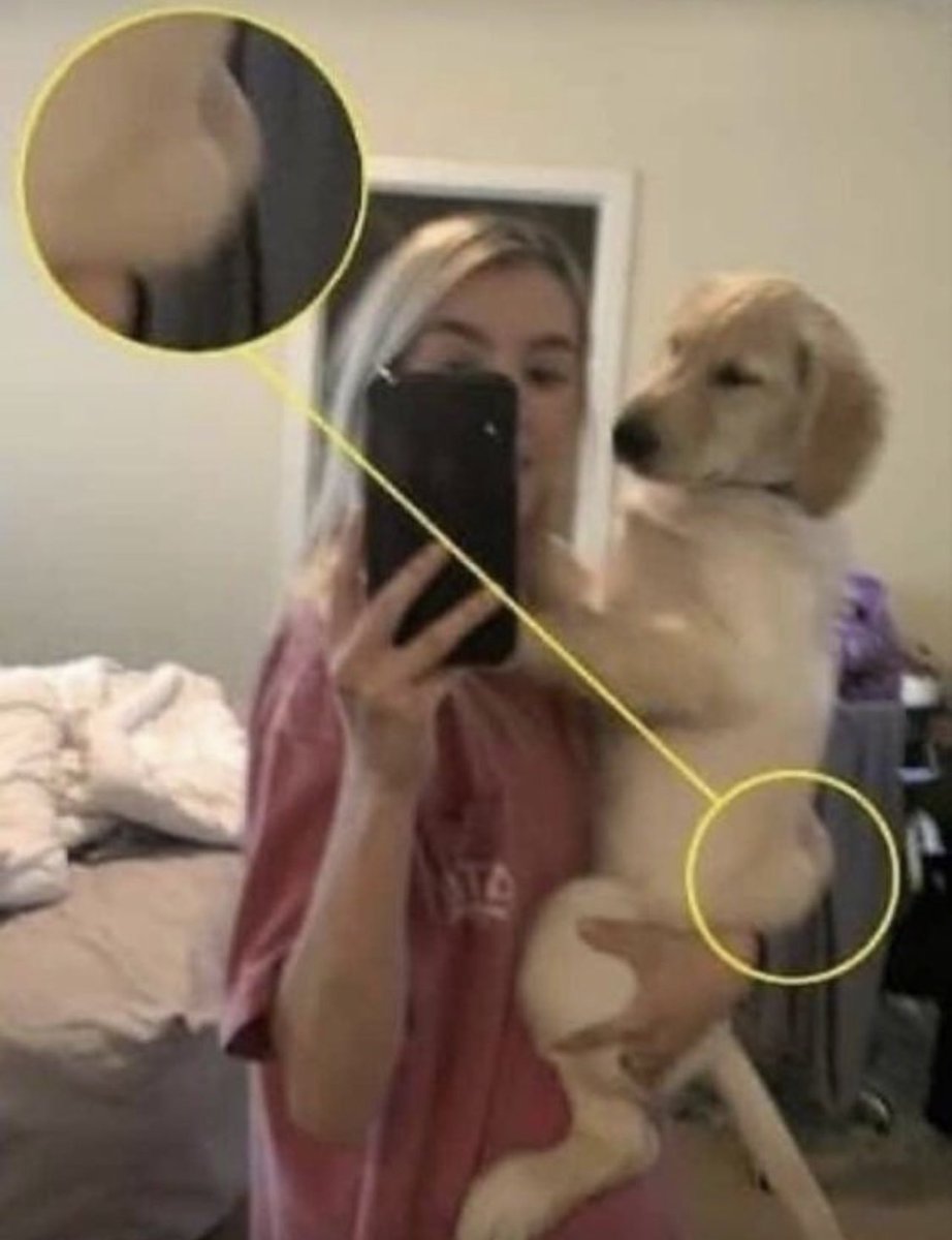 twaniimals's tweet image. 