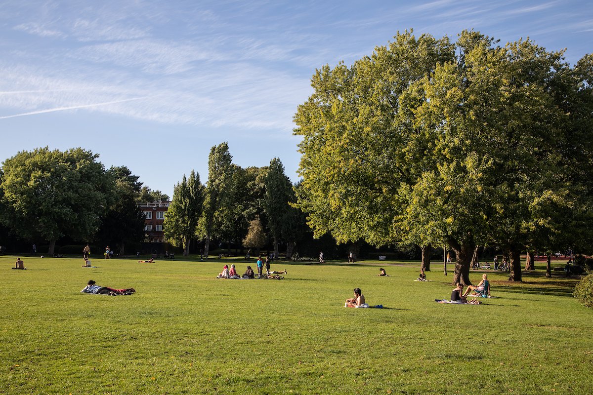 Next month our tree officers and local volunteers will be surveying trees across Camden. The survey will include collecting data across 200 plots! Trees and plants provide essential environmental benefits and the survey will help us make sure we look after our trees. 🌳❤️