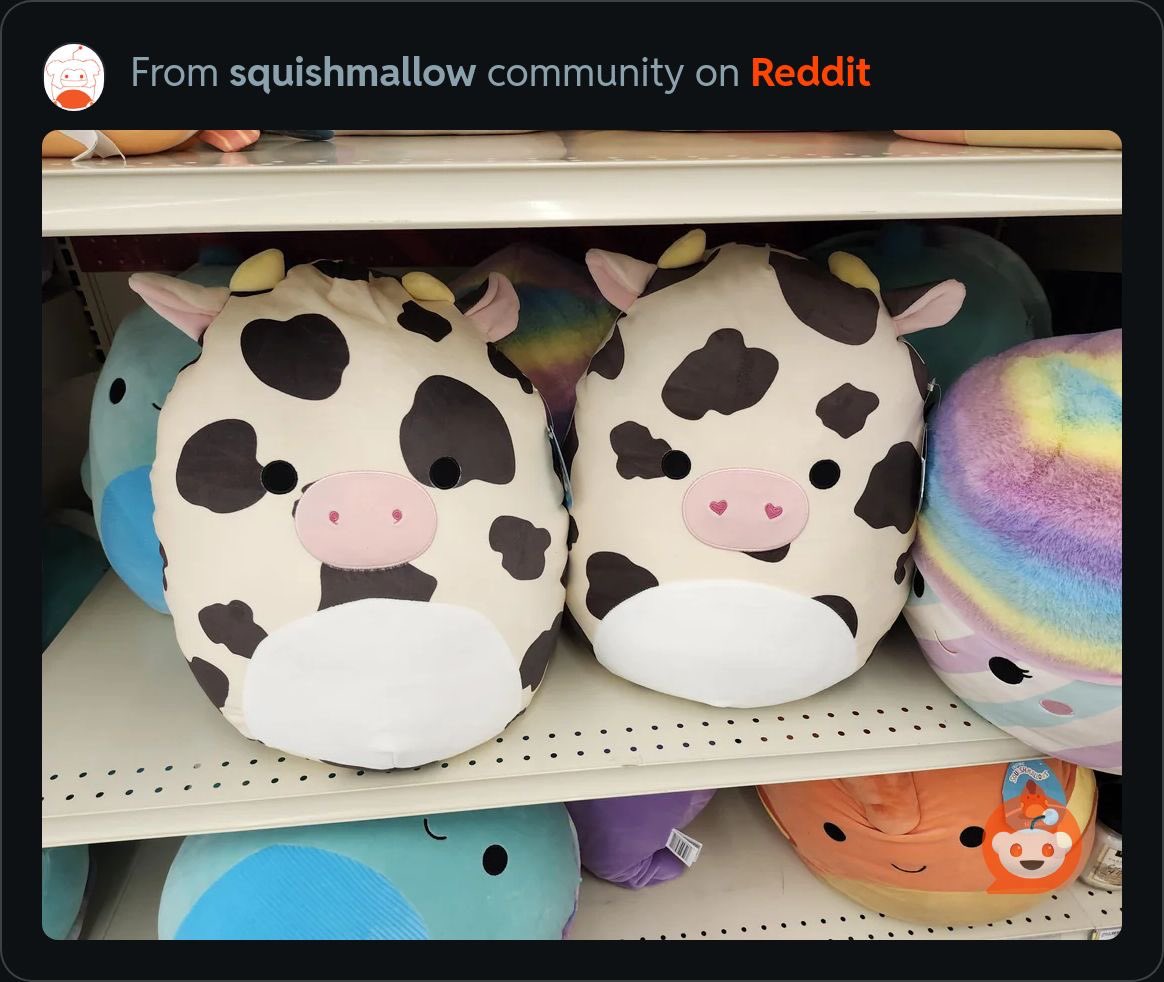 reignbowindy's tweet photo. @squishmallows there’s a lot of questions and debate on Reddit!!! Why does the most recent Colin release have nostril variations but the same tag? https://t.co/wRR1lC82AQ