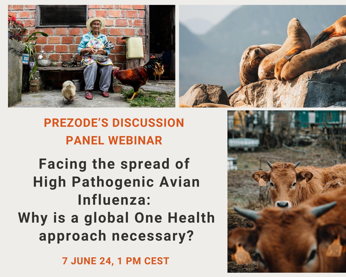 🗓️ Save the date! 📌 Register for PREZODE’s Webinar held on 7 June! The current unprecedented shift in the patterns of #AvianFlu transmission in wild birds, mammals, domestic animals & cases in humans is concerning. @ird_fr @INRAE_Intl @Cirad @WcsHealth #OneHealth