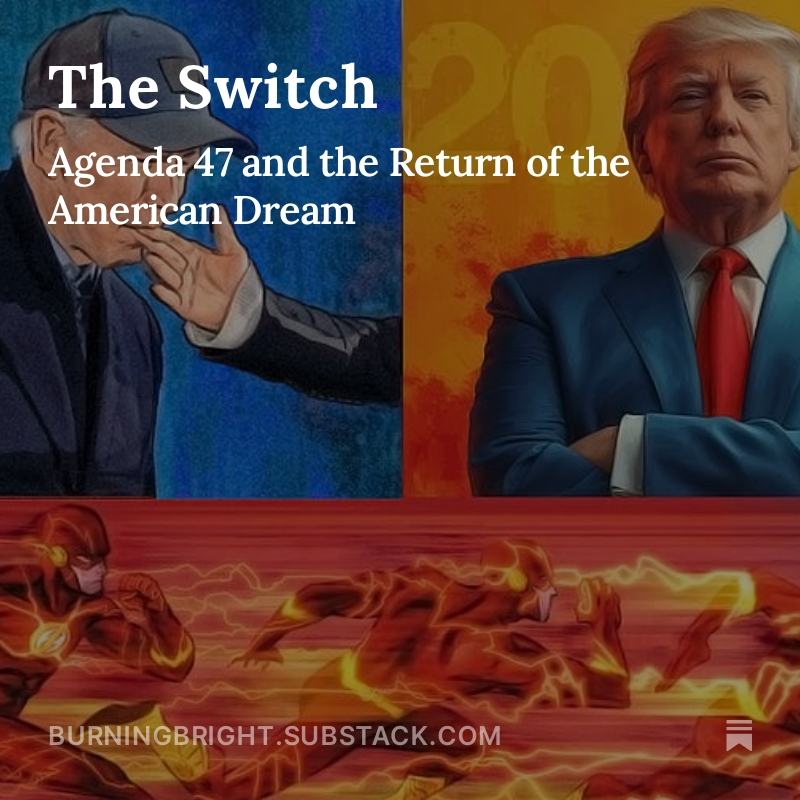 I've been working on a follow-up to my most-read feature of the year. 'The Switch' theory posits that much of the Narrative Damage that has occurred under the Biden Admin regarding the US economy is obscuring some tantalizing (and positive) Actuals that will help usher us into a
