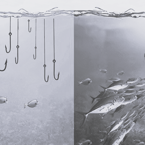 𝗢𝗩𝗘𝗥 𝗗𝗜𝗚𝗜𝗧𝗔𝗔𝗟 𝗗𝗜𝗦𝗥𝗨𝗣𝗧𝗜𝗘𝗩𝗘 𝗦𝗨𝗕𝗖𝗢𝗡𝗧𝗥𝗔𝗖𝗧𝗢𝗥𝗦, 𝗡𝗜𝗘𝗨𝗪𝗘 𝗦𝗨𝗥𝗩𝗜𝗩𝗔𝗟 𝗦𝗣𝗘𝗟𝗥𝗘𝗚𝗘𝗟𝗦 𝗘𝗡 𝗛𝗘𝗧 𝗧𝗘́ 𝗦𝗡𝗘𝗟 𝗧𝗘 𝗡𝗘𝗠𝗘𝗡 𝗩𝗔𝗡 𝗧𝗘́ 𝗞𝗢𝗥𝗧𝗘 𝗕𝗢𝗖𝗛𝗧𝗘𝗡

#maken #IndustrialNews

Lees meer via bit.ly/3Qkpmsx