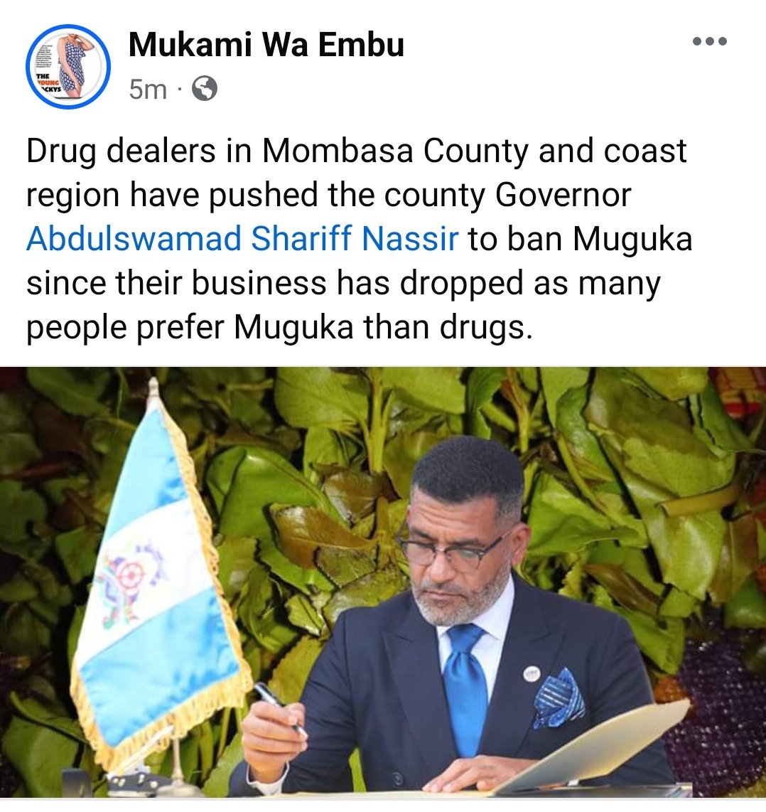 Drug dealers in Mombasa County and the coast region have pushed the county Governor @A_S_Nassir to ban Muguka since their business has dropped as many people prefer Muguka than drugs.
