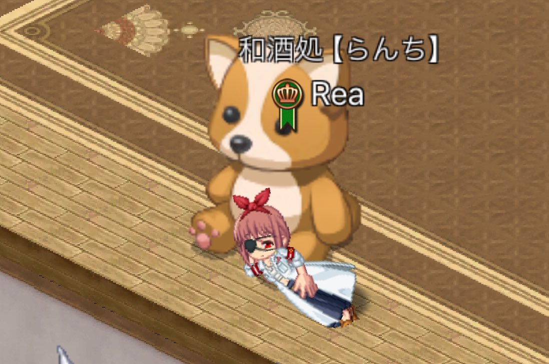 Rea_w14's tweet photo. 今日うちにイッヌ来ました🐶 https://t.co/r0vQKiAol5