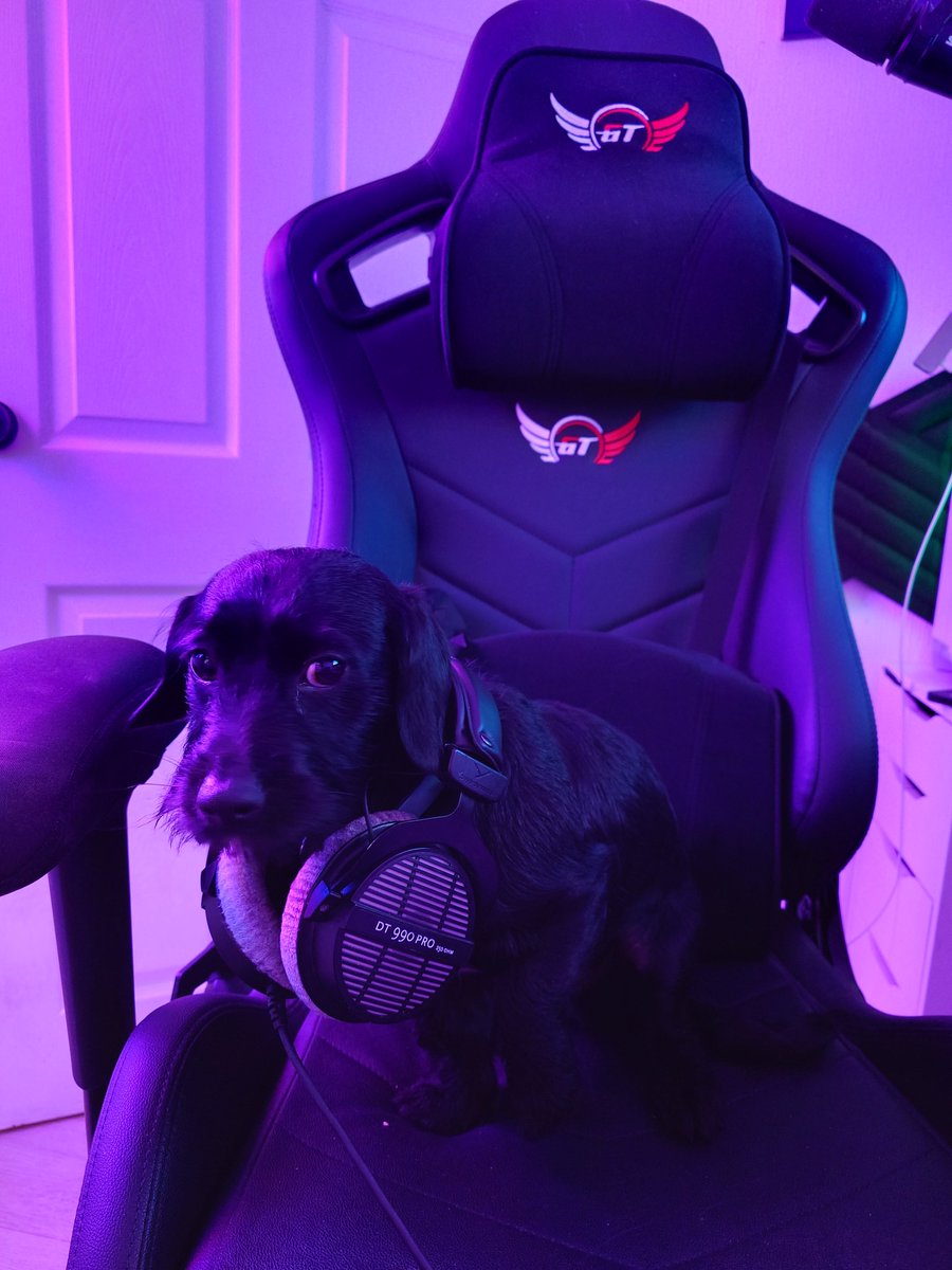 You may have a 4kd on COD but does your dog game though? <a href="/GTOmegaRacing/">GT Omega</a> <a href="/beyerdynamic/">beyerdynamic</a>