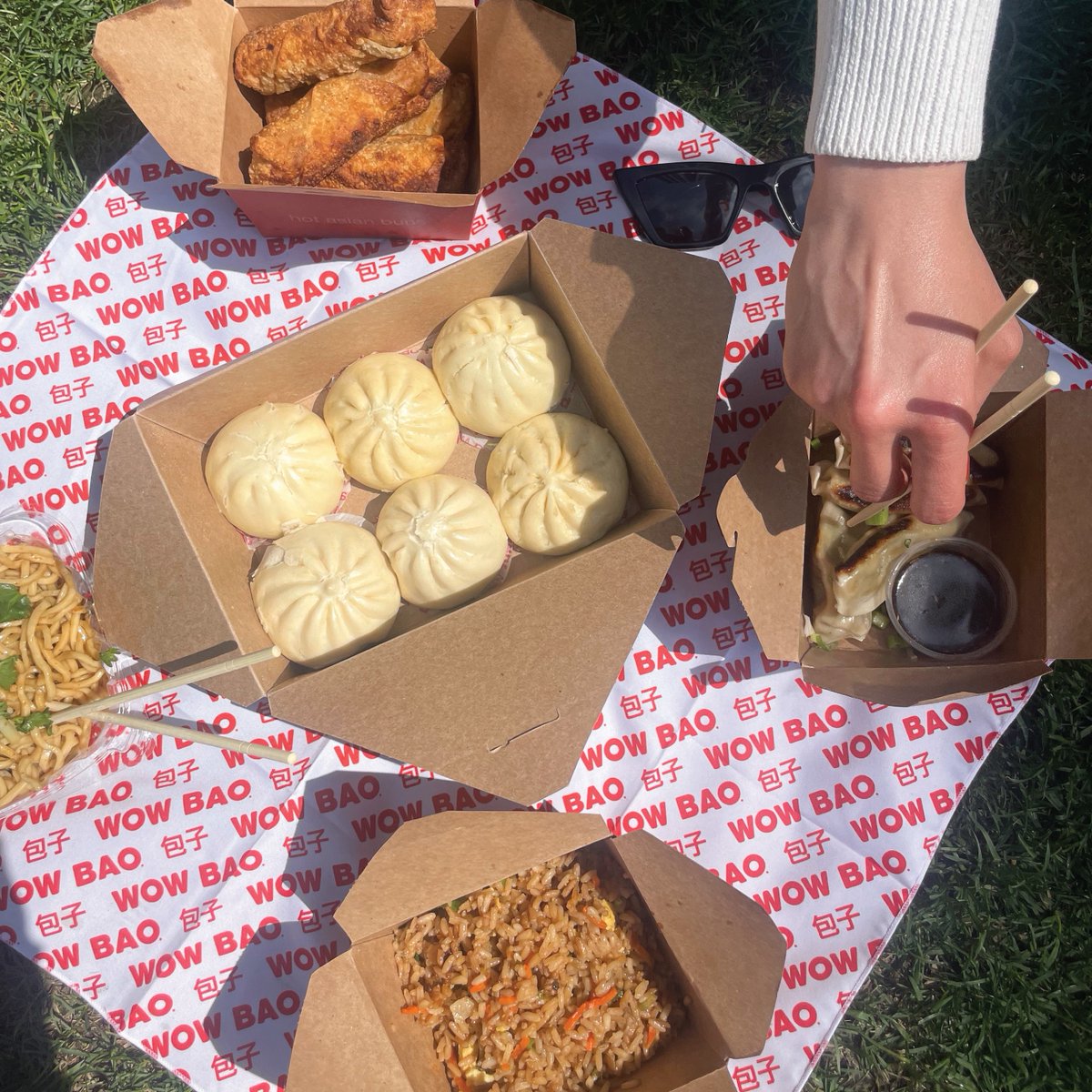 WowBao's tweet photo. Long weekends call for picnics & what better picnic then one with Wow Bao?! ☀️🧺🥟
#memorialdayweekend #memorialday #longweekend #picnic #picnicweather #wowbao #bao #yearofthebao #yum #goodeats #ordernow #delivery #foodie #eeeats https://t.co/4EnbOZNPa4