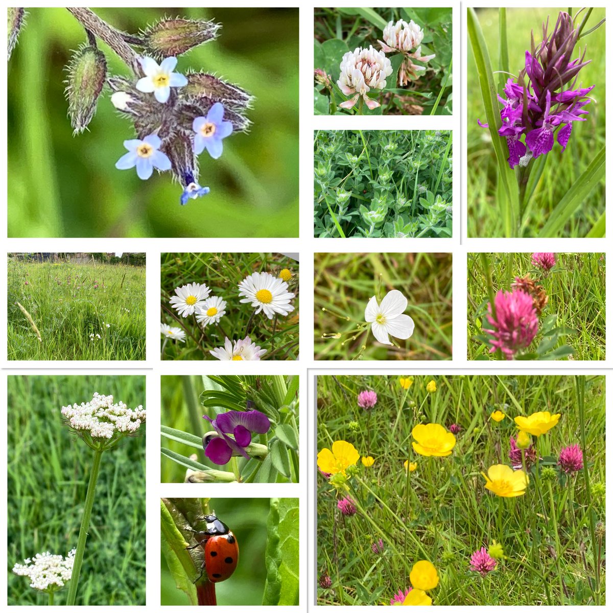 Sarah Butcher tweet media