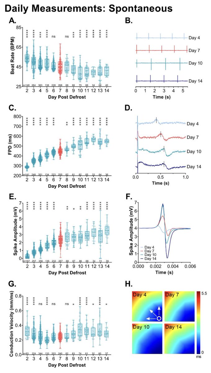 #ArticlesInPress: hiPSC-CM Electrophysiology: Impact of Temporal Changes and Study Parameters on Experimental Reproducibility
Devon Guerrelli, Jenna Pressman, Shatha Salameh, and Nikki G. Posnack
ow.ly/StQe50RU2R8
@nikkiposnack
#CiPA  #Electrophysiology