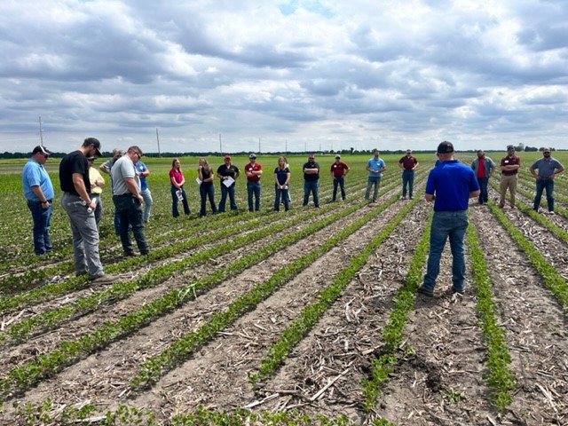 We're all about continuous learning on the job and that's why a few of our employees are enrolled in GROWMARK Agronomy College.

They were out in the field last week in Chatham learning about crop growth and development, as well as different scouting techniques.

📸Chad Goetten