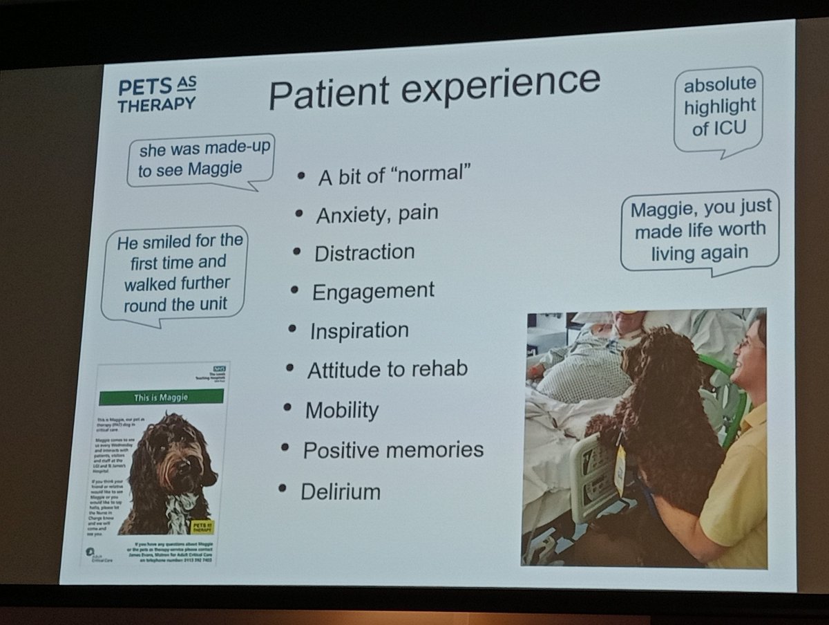 EdCriticalCare's tweet photo. While the staff always love a visit from an ICU dog, it is clearly the patients that get the greatest benefits....
#WhatsNewInICU24 https://t.co/PLYLKSP4xC