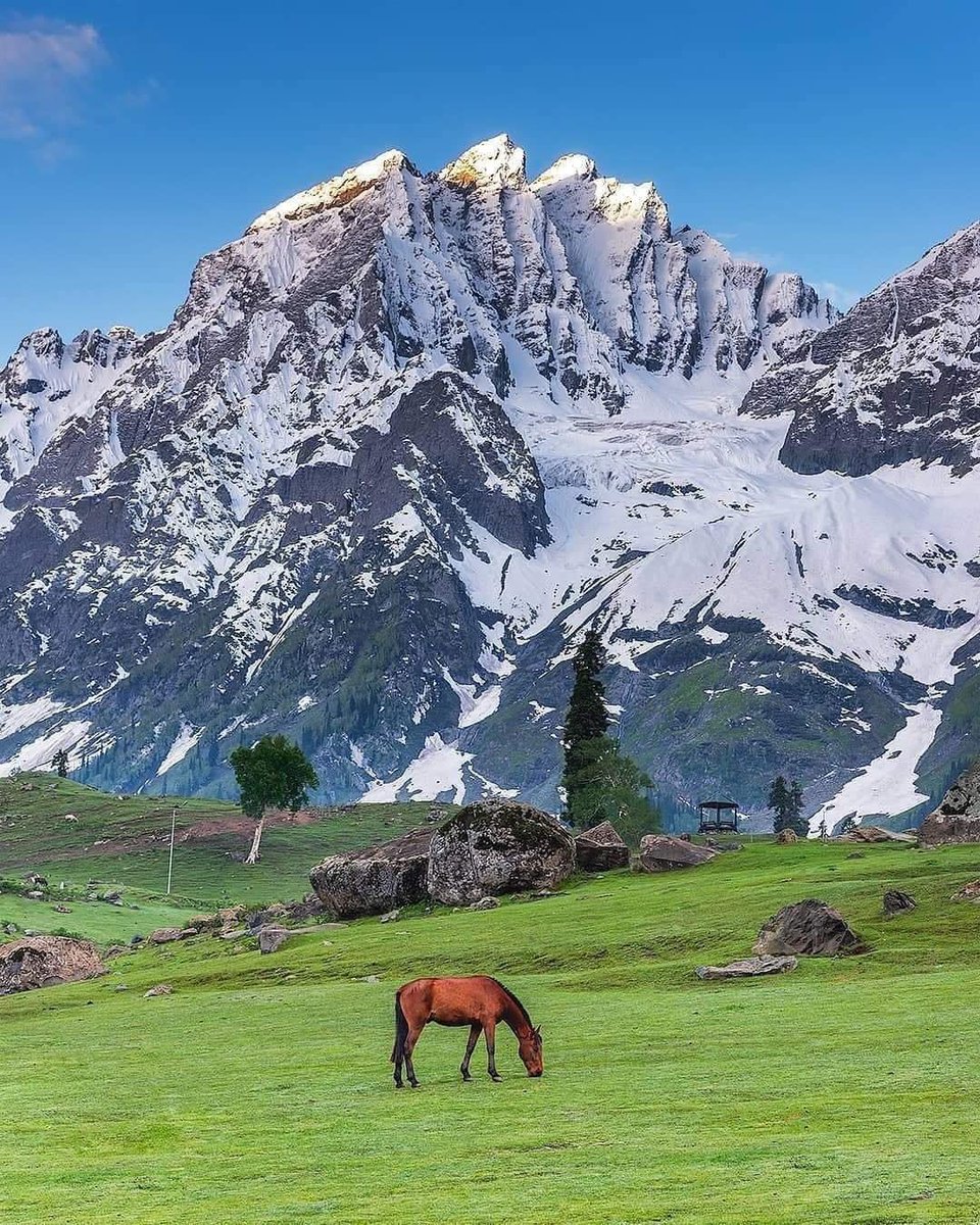 📍Sonamarg, Ganderbal
Comrades from Islamabad are requested to keep it as wallpaper 😭
.
#Ganderbal #islamabad