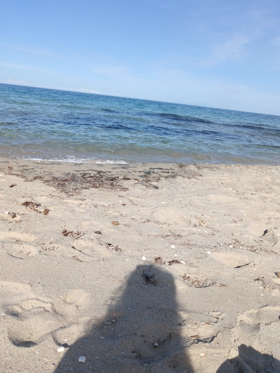 Com'è profondo il mar🧜