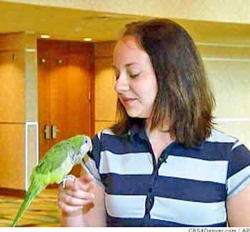In 2008, a Quaker parrot named Willie alerted his owner, Megan Howard, that a toddler she was babysitting was choking on food. When 2-year-old Hannah began turning blue, the bird squawked loudly to get Megan's attention and repeatedly said, 'Mama baby.' Megan rushed to Hannah
