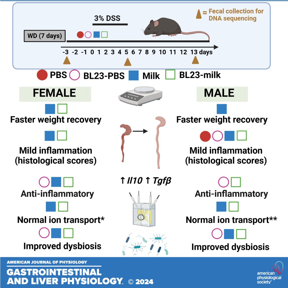 🎧to our latest podcast as Mélanie Gareau(<a href="/gareaulab/">Dr. Melanie Gareau</a>)&amp; Maria Marco delve into their latest research "Milk &amp; Lacticaseibacillus paracasei BL23 effects on intestinal responses in a murine model of #colitis."
ow.ly/vfin50RU6mW
#FermentedMilk #probiotics #IntestinalInflammation