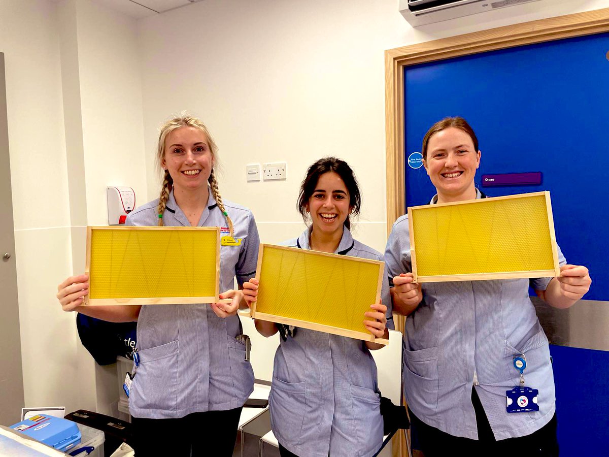 Great band 6 well being session creating Hive Frames 🐝 Nailed it 🔨