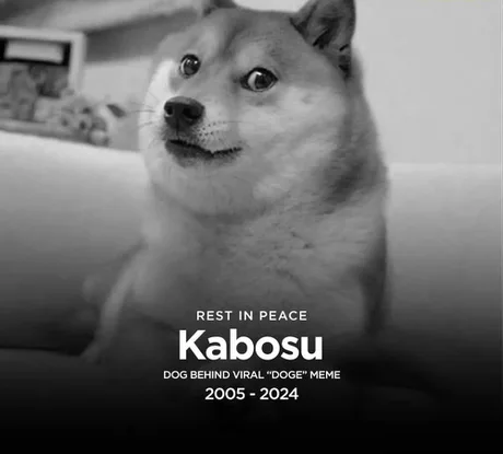 MemesAndThings_'s tweet image. 