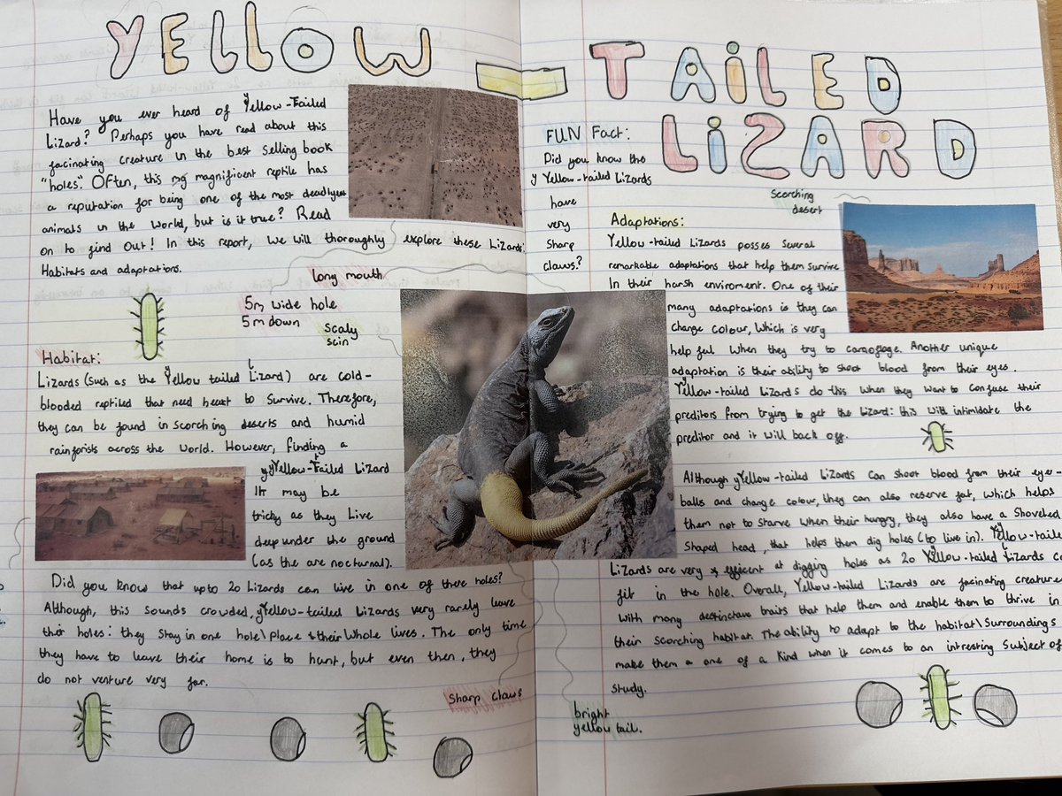 Ending term 5 by celebrating some excellent writing! Year 6 have been working hard publishing their non-chronological reports on yellow-spotted lizards from our class book, ‘Holes’ ✍🏼 @sfsmtweets