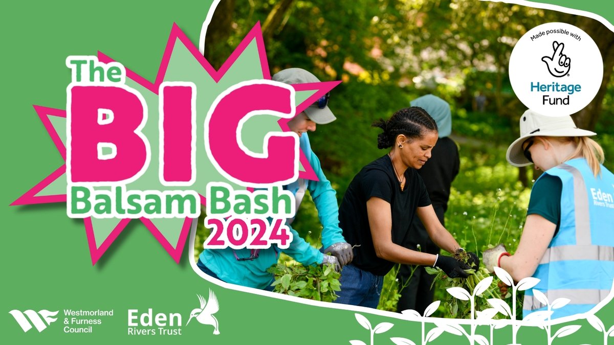 Its #INNSweek day 5 - how can you #stopthespread? Why not join one of our summer Big Balsam Bash community days & help pull out invasive, non-native Himalayan balsam? Next event Sat 1 June, 10am-3.30pm, Long Marton. Info 👉 loom.ly/xWtEdWQ @heritagefunduk @wandfcouncil