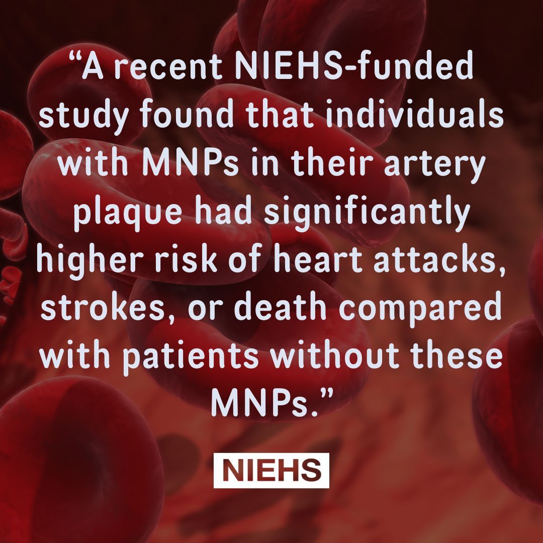 This month, Dr. Rick Woychik speaks with #NIEHSfunded scientist Kjersti Aagaard, M.D., Ph.D., about emerging research on the pervasiveness of micro- and nanoplastics (MNPs) in the environment, and their potential effects on human biology. bit.ly/3JMivV3 #NIEHSFactor