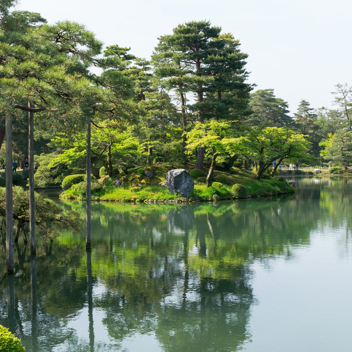 Federico Gallina tweet media