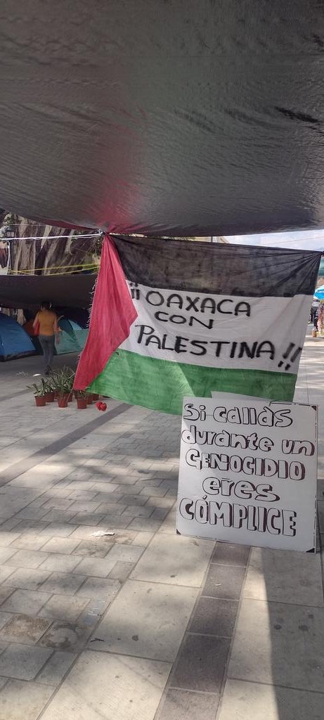 brigadas_delPP's tweet photo. Desde el rio hasta el mar "palestina vencerá"
@HoyPalestina https://t.co/pFzLd2PpvB