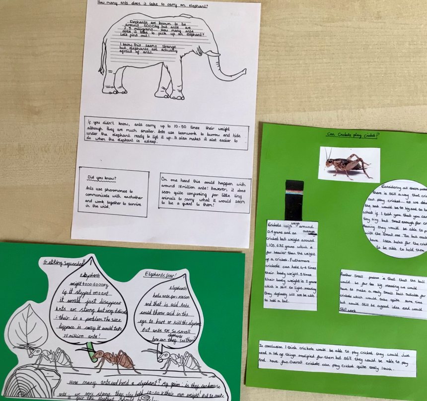 elmcofeprimary's tweet photo. Inspired by the author, Isobel Thomas, year 6 have written answers to their own 'impossible questions'. 
@DEMAT__ #impossiblequestions #isobelthomas https://t.co/g2FA4TrDa3