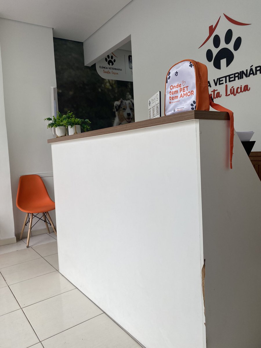 faahstudy's tweet image. Tô no veterinário, minha gatinha machucou o olho