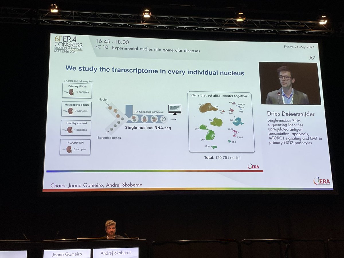 Jasper Callemeyn (@callemeynjasper) on Twitter photo Single nucleus RNA sequencing to untangle the spectrum of FSGS. Great talk by <a href="/D_Deleersnijder/">Dries Deleersnijder</a> at #ERA24 Single nucleus RNA sequencing to untangle the spectrum of FSGS. Great talk by <a href="/D_Deleersnijder/">Dries Deleersnijder</a> at #ERA24