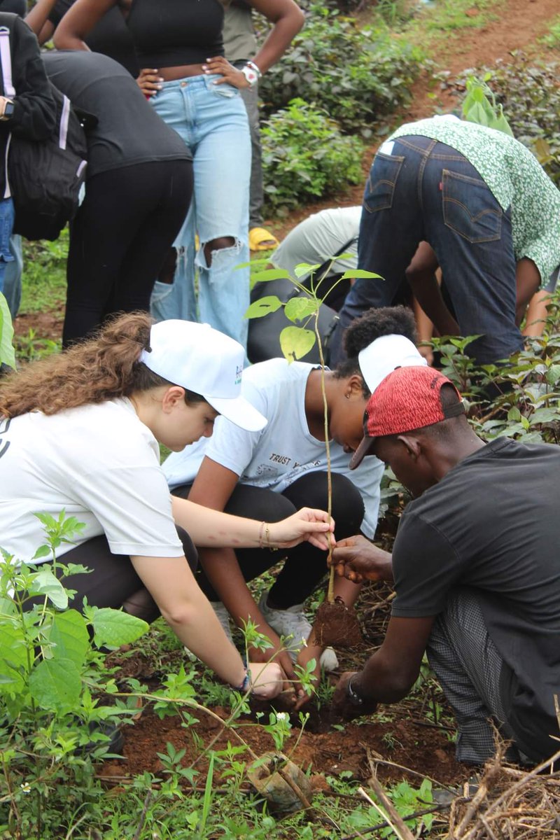Lycée Albert Camus Conakry tweet media