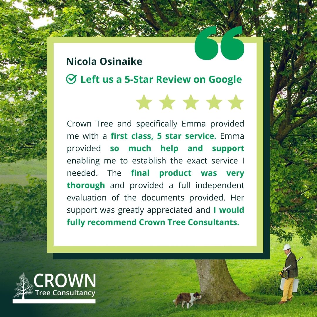 Crown Tree Consultancy tweet media