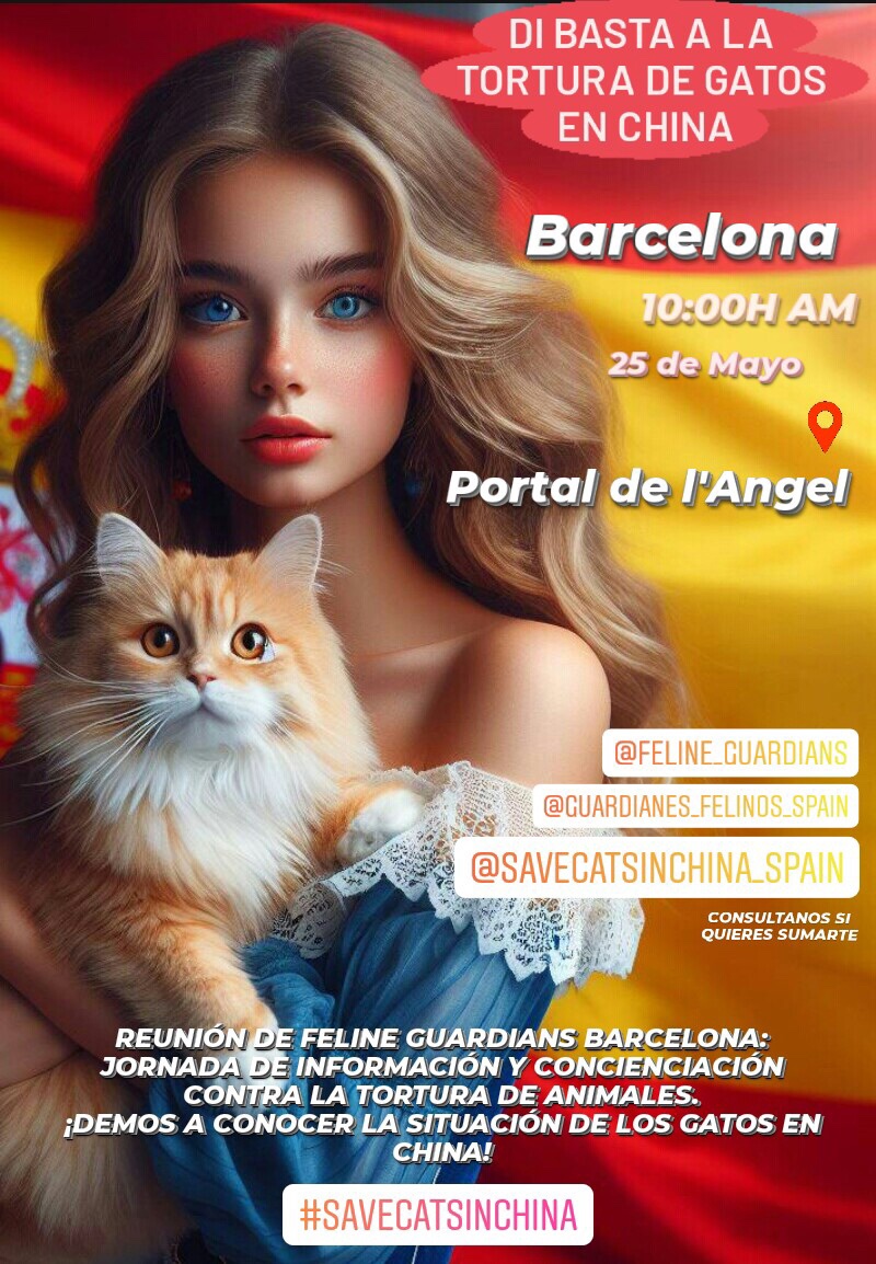 Ino_0m's tweet photo. 🐈Spain Protests in Barcelona
25 May 10:00 am Portal de l'Angel📌
https://t.co/ZLgheVCdD0..
#ChinaCatTorture #catabuserschina #SAVECATSINCHINA #China #CatAbusersChina #chinacats #BoycottChina #AnimalCruelty #StopChinaCatTorture #AnimalAbuse #AnimalAbusers #Barcelona #Spain https://t.co/Oim5hAtCF6