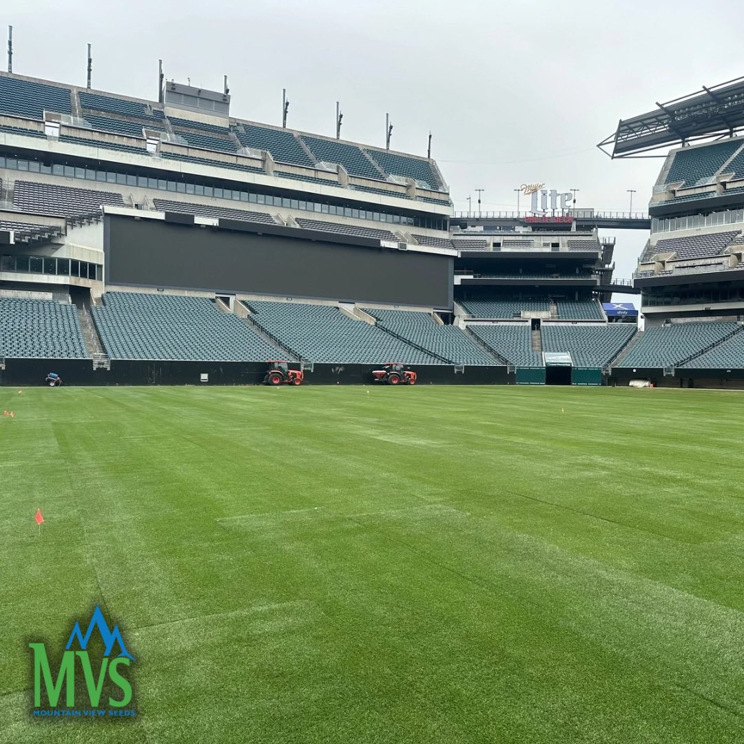 The 2024 Men’s NCAA D1 Lacrosse Championships are live this weekend from Lincoln Financial Field! Fresh #GameDaySod sod-on-plastic featuring #MVS varieties has been installed at @LFFStadium, a rare surface of Bermuda-Blue-Rye for a premier event! Thanks to @TuckahoeTurf, led by