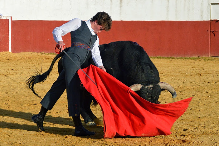 Quizá todo sea cuestión de ir al ritmo que marca el corazón, y dejar aparcada la razón.

...es TOMÁS ANGULO, en busca del último milagro romántico del Toreo.
#ArgumentosParaCreer #cuestióndeFE #FE Foto: <a href="/fjcampos1960/">Fco Javier Campos</a> #ElReyDeLosLocosSoyYo