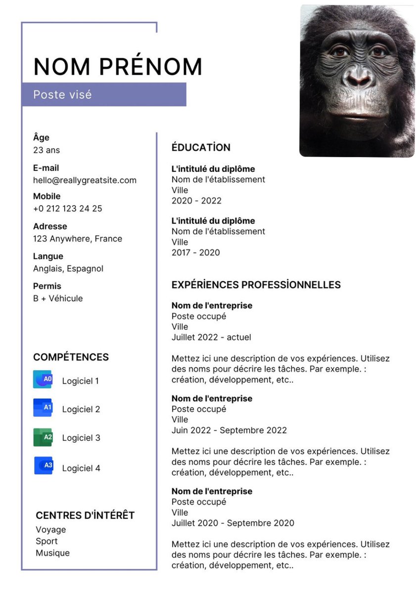 j’ai mit ma tête sur mon CV j’en suis à 3 candidatures refusées
voici comment les recruteurs voient mon CV :