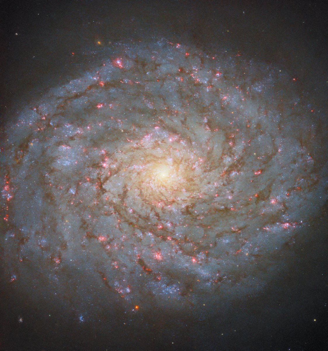 A galaxy fit for a queen 👑 Located in the constellation Coma Berenices, named after Queen Berenice II of Egypt, the jewel-bright spiral galaxy NGC 4689 lies 54 million light-years from Earth. Uncover more about this week's #HubbleFriday view: go.nasa.gov/3QV29gP