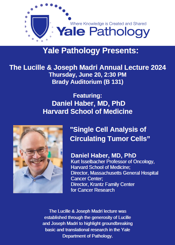 Mark Your Calendar: The 2024 Lucille & Joseph Madri Lecture is June 20, 2:30 PM, at Brady Auditorium w/ Daniel Haber, MD, PhD, of @HarvardMed & @MassGeneralNews presenting on “Single Cell Analysis of Circulating Tumor Cells” #Pathology @YaleMed @YaleCancer bit.ly/4bP7oXb
