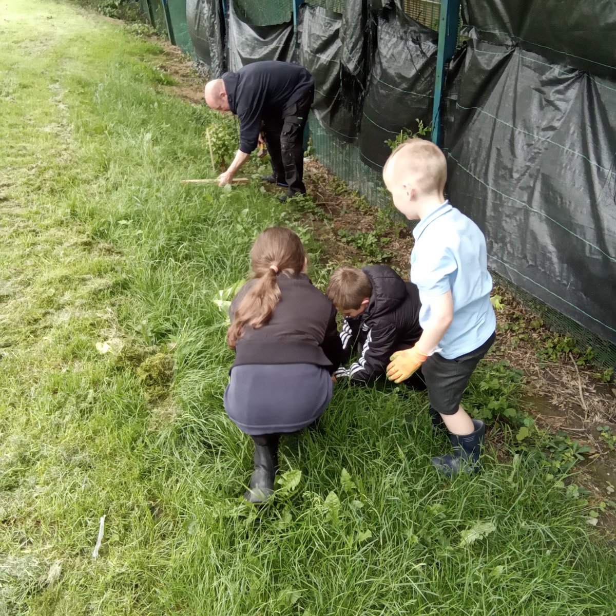 Some of our 'always' children helping Mr Lamb plant some new trees in the school grounds. So proud of our children who do the right thing every day! @astreaacademies
