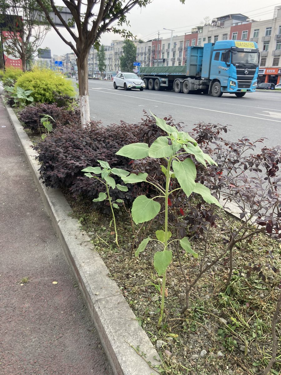 Richard Reynolds tweet media